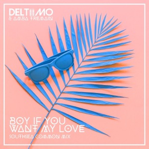 Boy If You Want My Love - Single