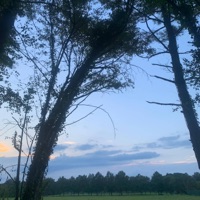 Nascar - Single - Unknwnzay