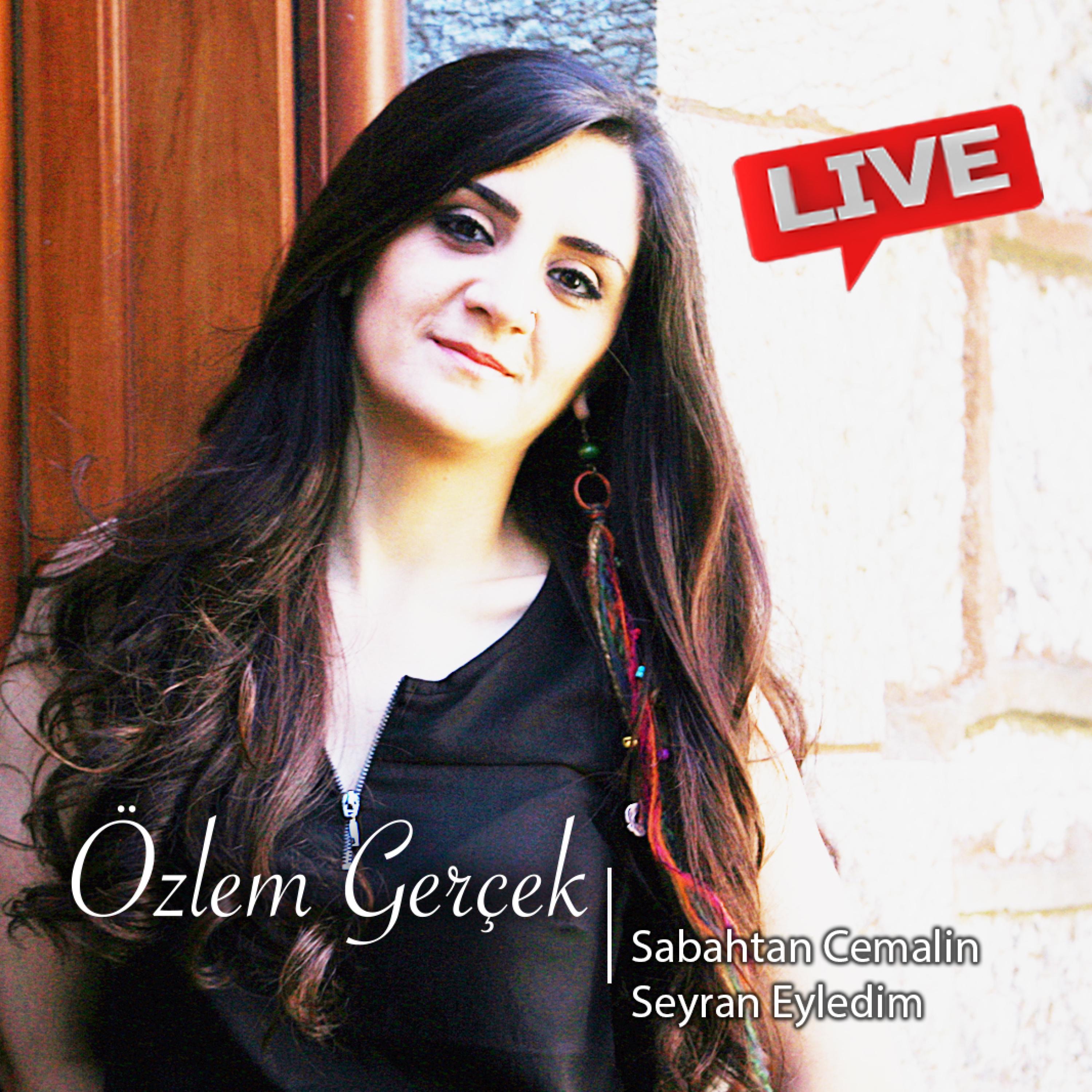 Sabahtan Cemalin Seyran Eyledim - Single