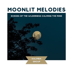 Moonlit Melodies: Echoes of the Wilderness Calming the Mind