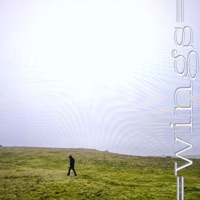 =wings= - Single - DJ PABLO!!!!!