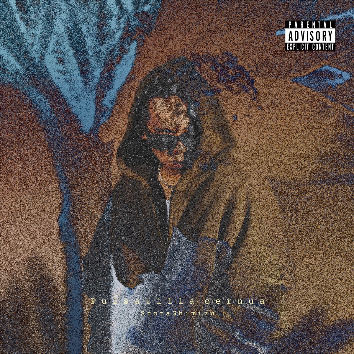 清水 翔太 - Pulsatilla cernua (2025) [iTunes Plus AAC M4A]-新房子