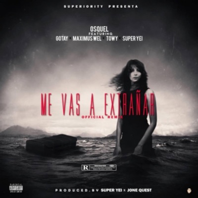 Me vas a extrañar 2 (feat. Maximus well & Towy) - Single