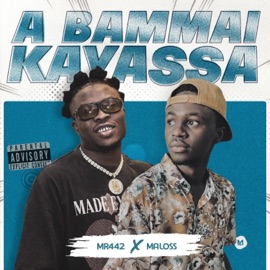A bammai kayassa (feat. Mr442) Maloss