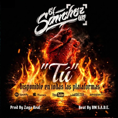 "Tú" (feat. ZaGa Real HLM & BM S.A.D.E) - Single