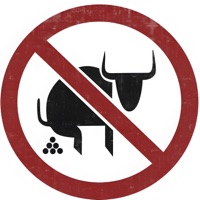 No B******t - Single - Nick Flannagin