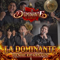 Album cover for Popurrí Éxitos De Grupo Frontera (En vivo) by La Dominante de Morelos