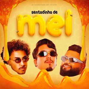 Sentadinha de Mel (feat. Mc Livinho)