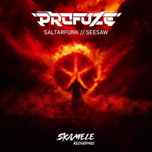 Saltarfunk / Seesaw - Single