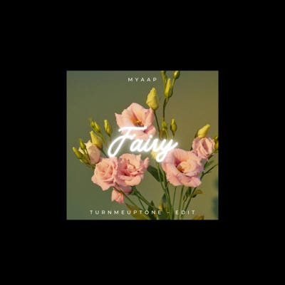 Fairy (Remix) - Single