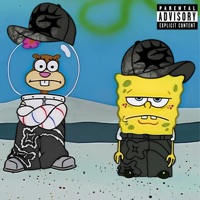 Sincerly, Indica. - indica.addictt