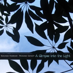 A Glimpse into the Light