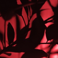 Tonayan Dreams - Single - C4STRO77