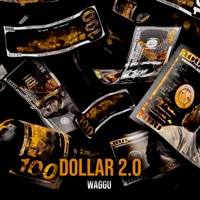Dollar 2.0 - Single - WAGGU