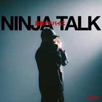 Ninja Talk (feat. Vibe) - Single - Teorema