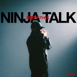Ninja Talk (feat. Vibe) Teorema