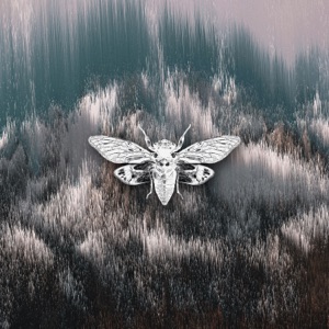 Rave - Single