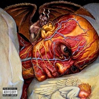 Lime Shadow - Single - Stoaks