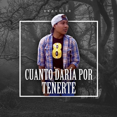 Cuánto Daría Por Tenerte - Single