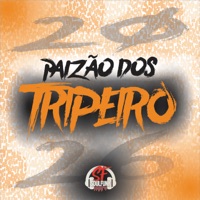 Paizão dos Tripeiro - Single - Mc Bruninho 011 & MC LP7
