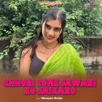 Chhori Tome Jawani Ko Jaikaro - Single