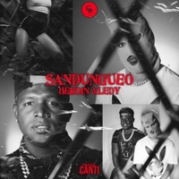 Sandungueo - Single - Herdin y Ledy