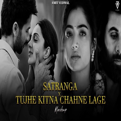 vikas kushwah - Satranga X Tujhe Kitna Chahne Lage