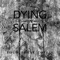 What Darkness May Bring - Dying in Salem lyrics