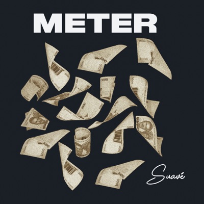 Meter - Single