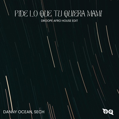 PIDE LO QUE QUIERA MAMI EDIT - Single