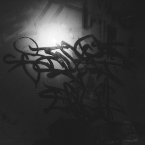 STREET DOG$ 2 (feat. danshpan)