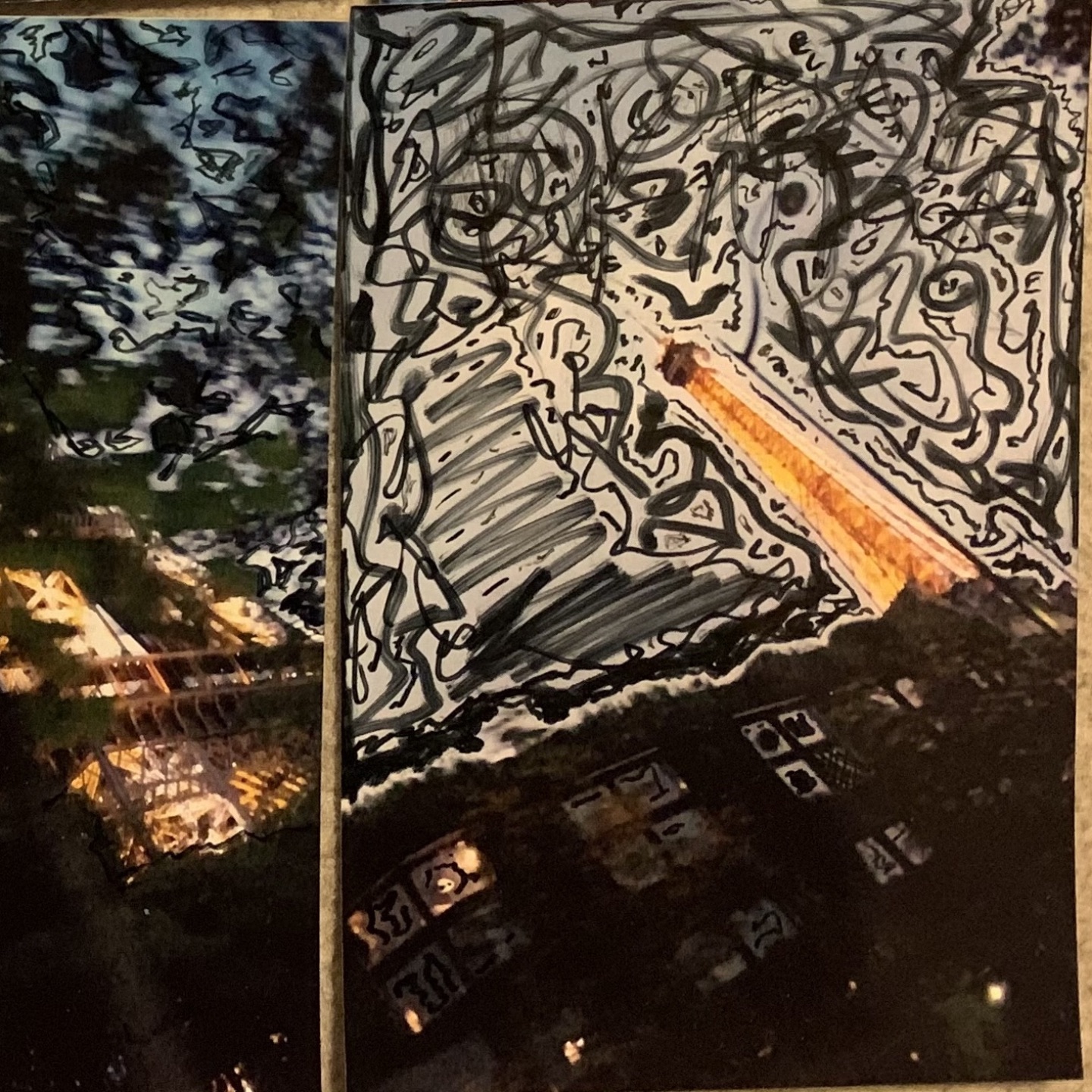 Bird Seed / What Holds The Ground Up - Single