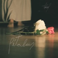 Pétalas - Single - Adil Franco