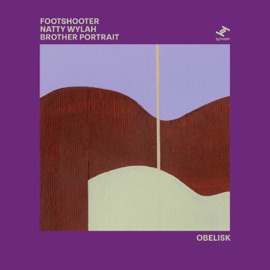 Obelisk (Radio Edit) Footshooter, Natty Wylah & Brother Portrait