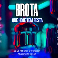 Brota Que Hoje Tem Festa (feat. cirilo) - Single - Os Gemeos da Putaria, Mc Mr. Bim & mc pl alves