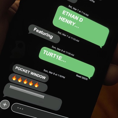 Pocket Window (feat. TURT1E) - Single