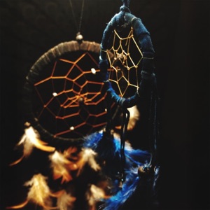 Shaman’s Journey Into the Umbra