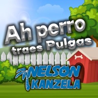 Ah Perro Traes Pulgas - Single - Nelson Kanzela
