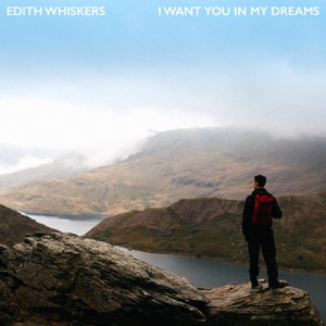 I Want You In My Dreams - Single