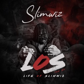 Star (feat. Pally OG) Slimwiz