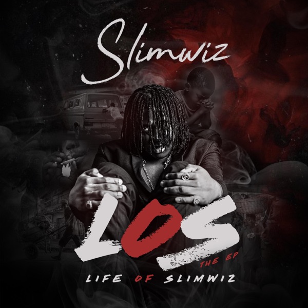 Life Of Slimwiz