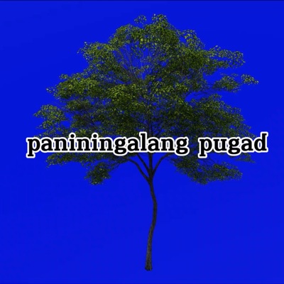 paniningalang pugad - Single