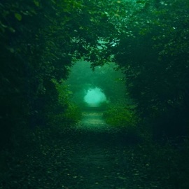 wandering too unbothered.