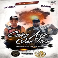 Como Aire Que Toca (feat. La Musa Music) - Single - JuN JuN Music