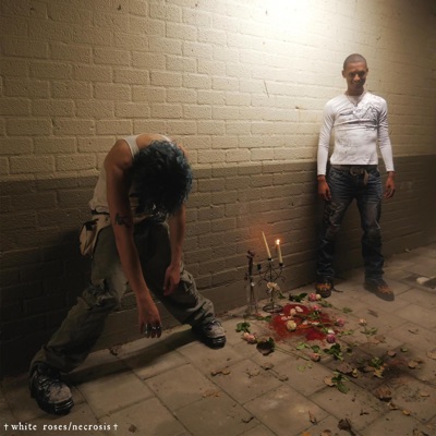 white roses/necrosis - Single