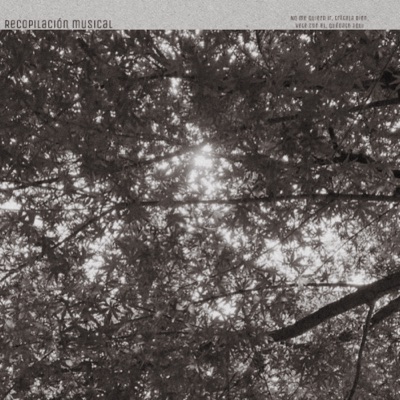 Recopilación Musical - EP