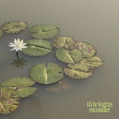 tú te logras esconder - Single