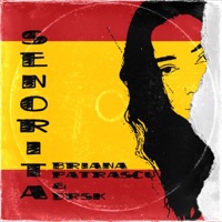Señorita (feat. Briana Pătrașcu) - Single - DRSK