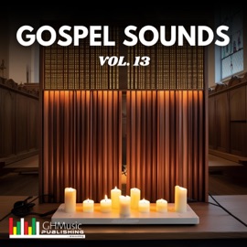 We Need Your Peace (feat. Miss Elorm Asiseh & Diana Hopeson) Fire City Music