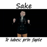 Te iubesc prin fapte - Single - Saké